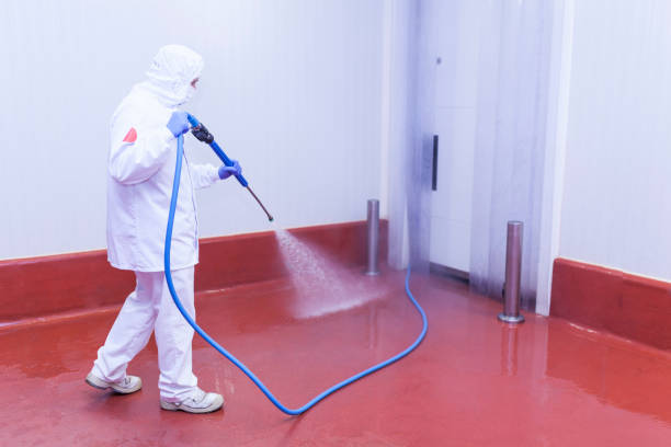 Best Sidewalk and Walkway Cleaning  in Stratford, CA